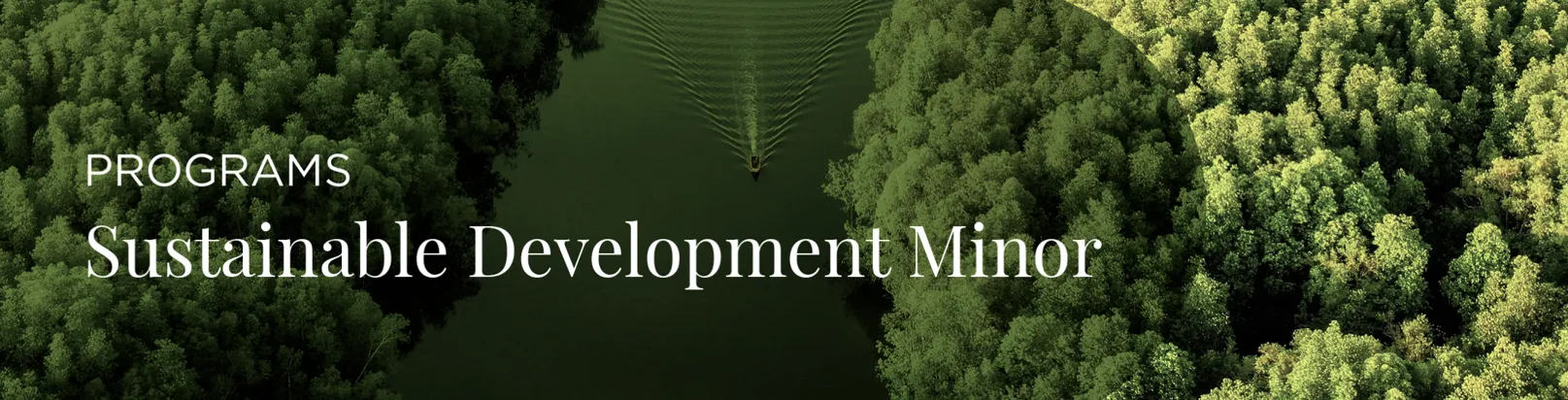 Sustainable Development Minor Banner