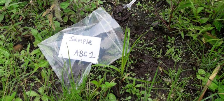 Individual collects a soil sample
