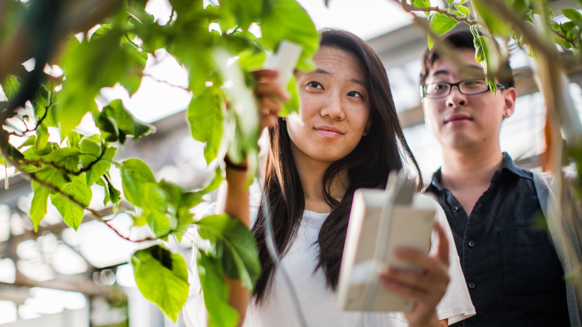Students checking data on a plant