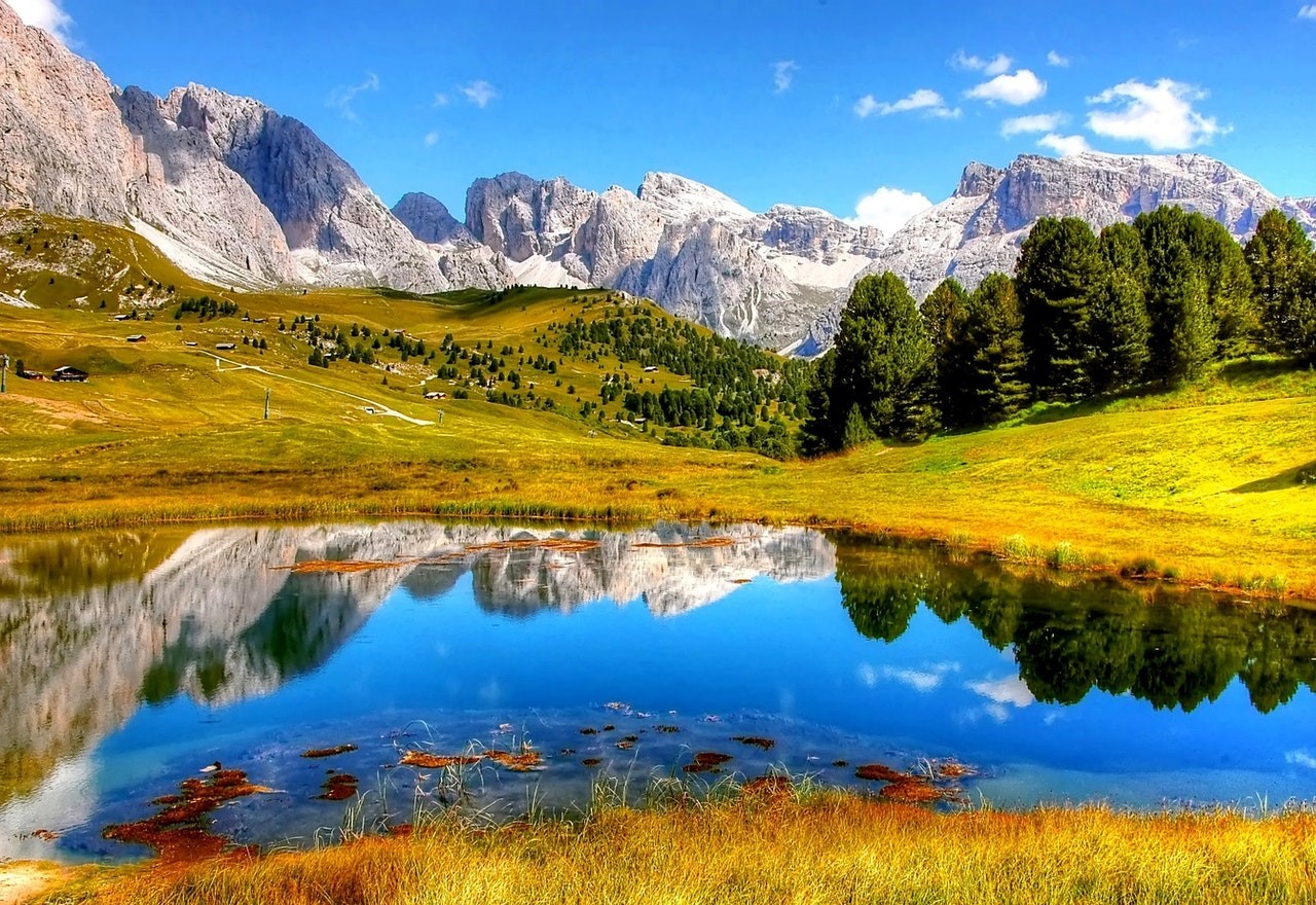 Small pond in front of mountains and trees